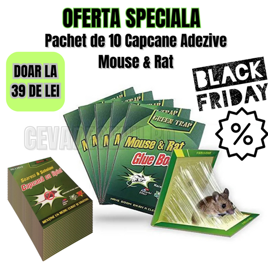 Pachet de 10 Capcane Adezive Mouse & Rat