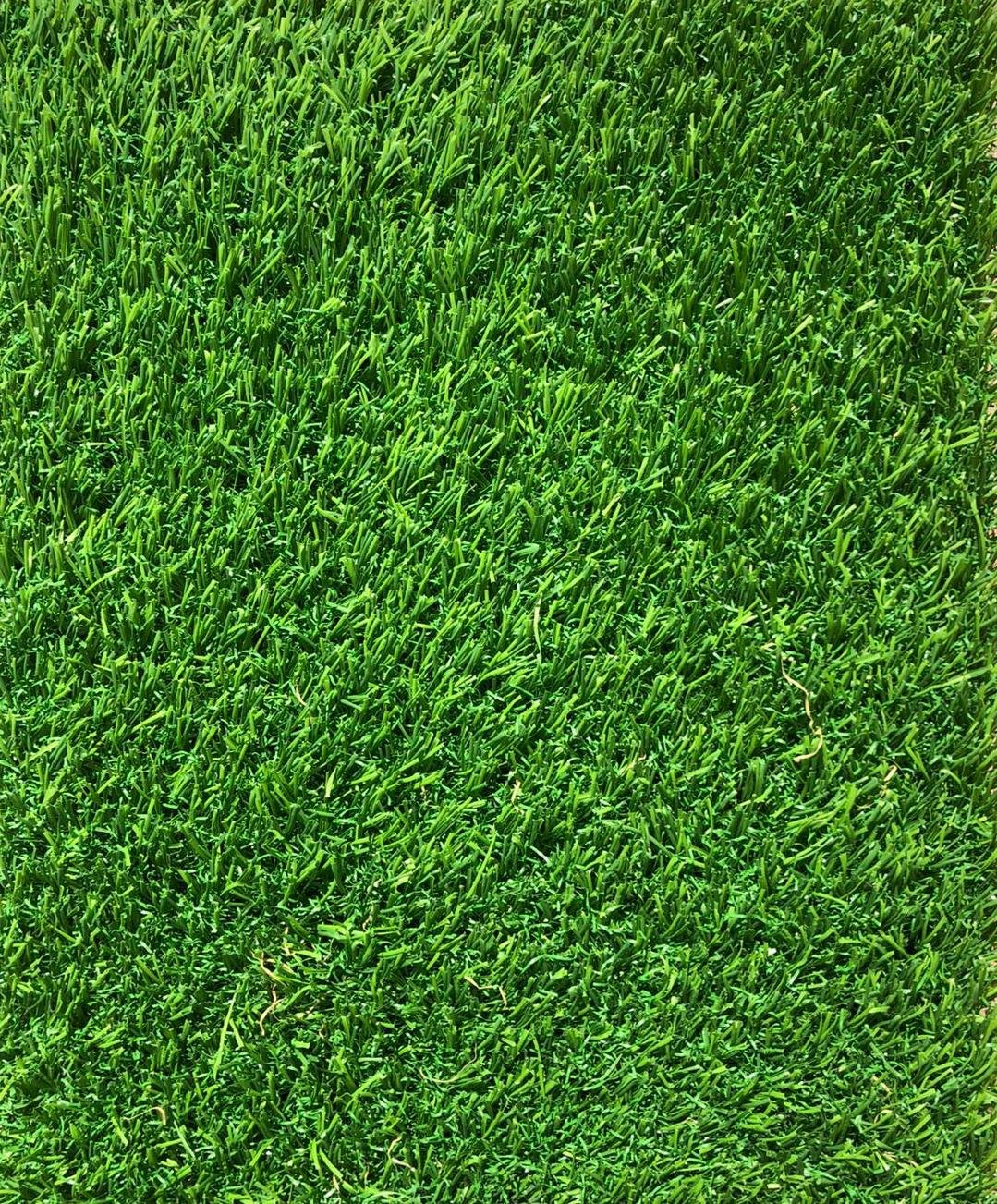 Gazon Artificial  300x100 cm